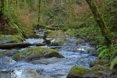 View of Balch Creek